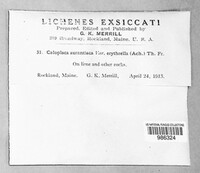 Image Associated With the Occurrence